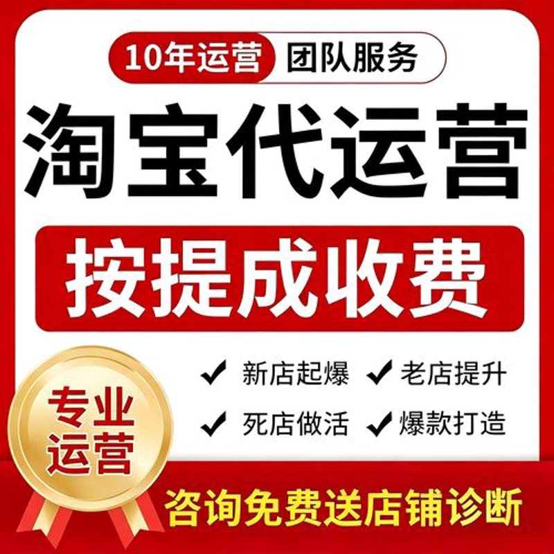 电商代运营助力海口企业驶入发展快车道